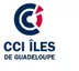 CCI Îles de Guadeloupe